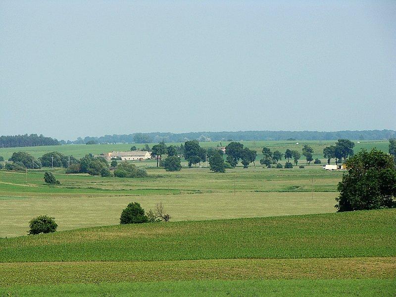 Widok okolic Kiszkowa