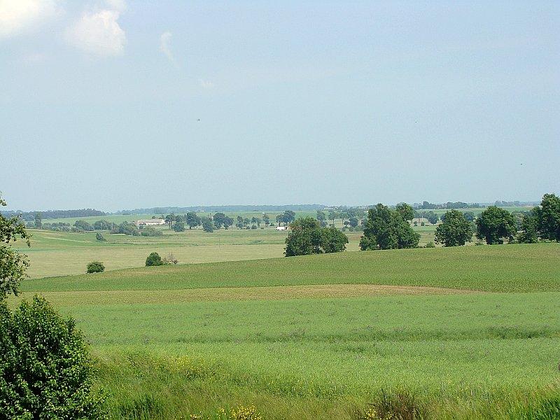 Widok okolic Kiszkowa