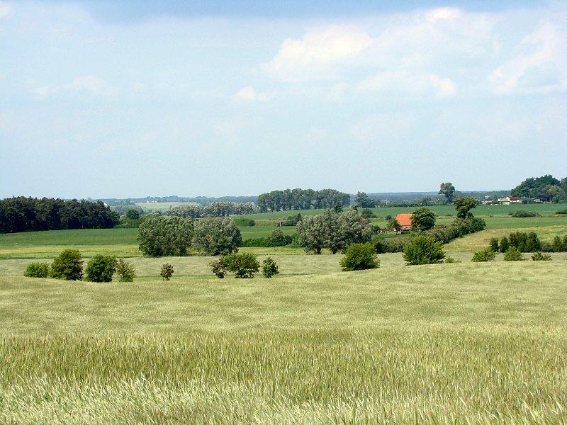 Widok okolic Kiszkowa