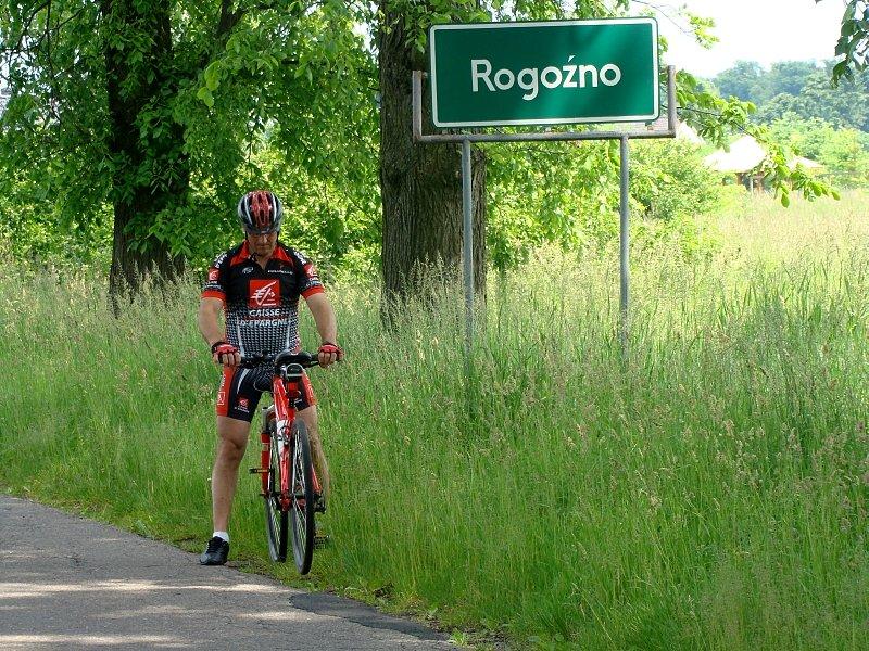 Rogoźno wita
