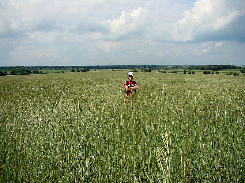 Grigori w zbożu