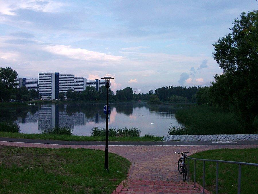 Staw Marko