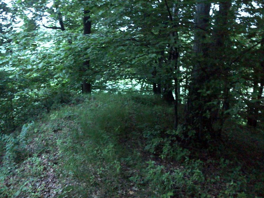 Pogwizdów gródek