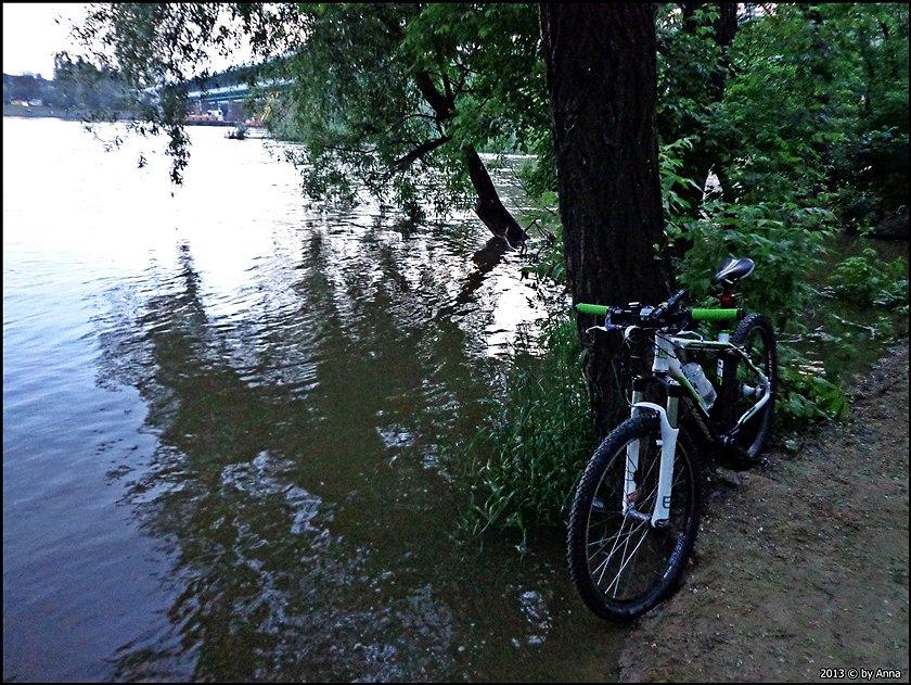 Wisła ma wysoki stan, naprawdę