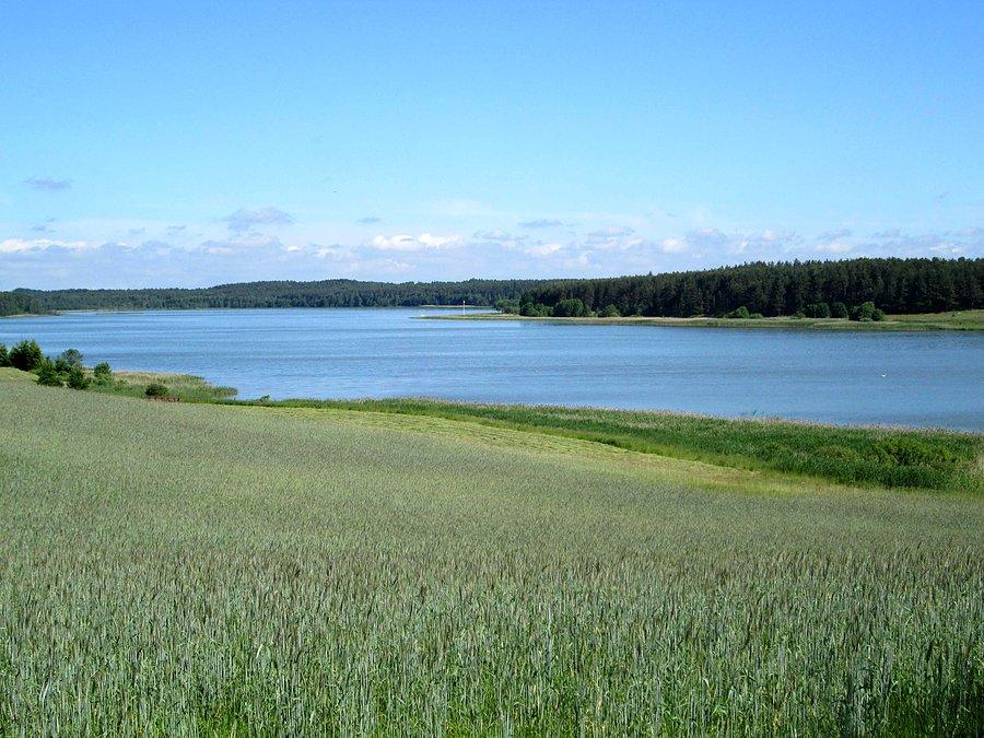 Jezioro Kamienickie w Kamienicy Królewskiej