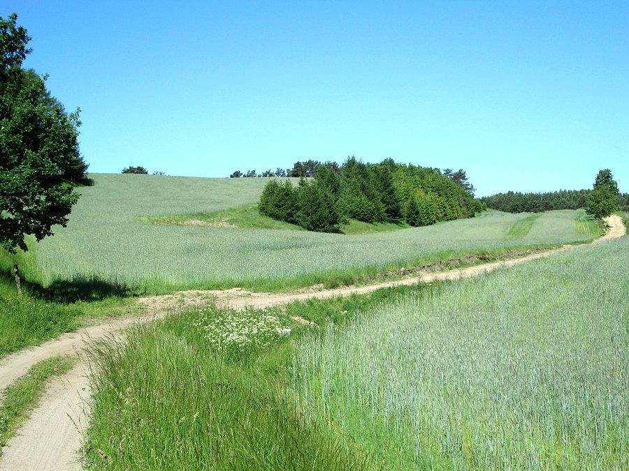 Kaszubskie bezdroża