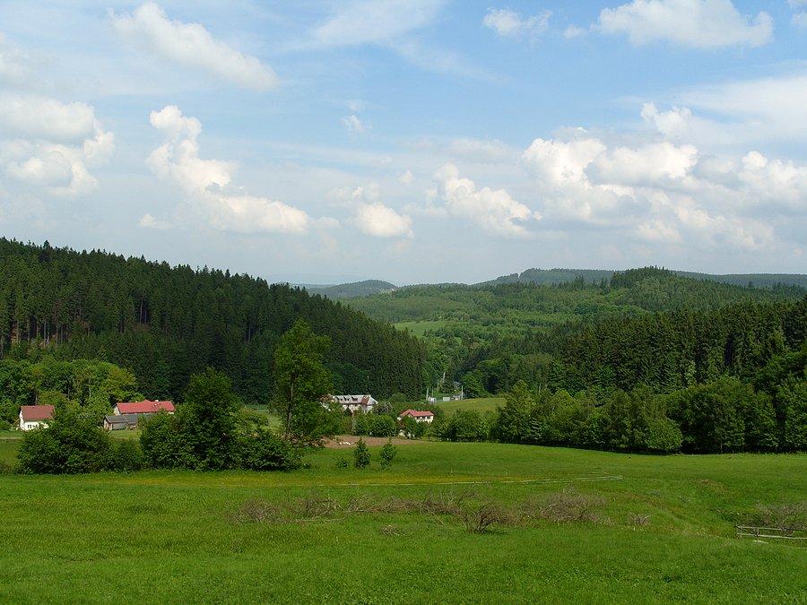 Widok z podjazdu na Zieleniec gdzieś w stronę Dusznik ;)