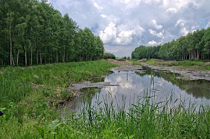 Staw w pobliżu PK