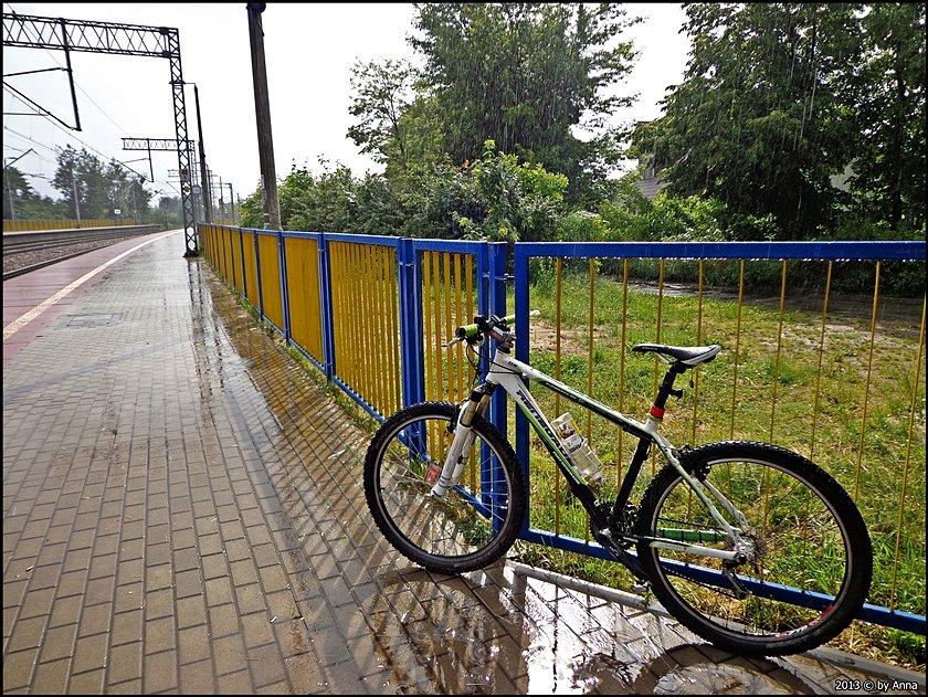 Słońce i deszcz, a Groszek bierze prysznic!