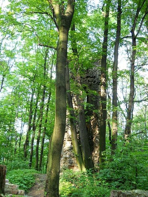 Romantyczne ruiny w całej okazałości