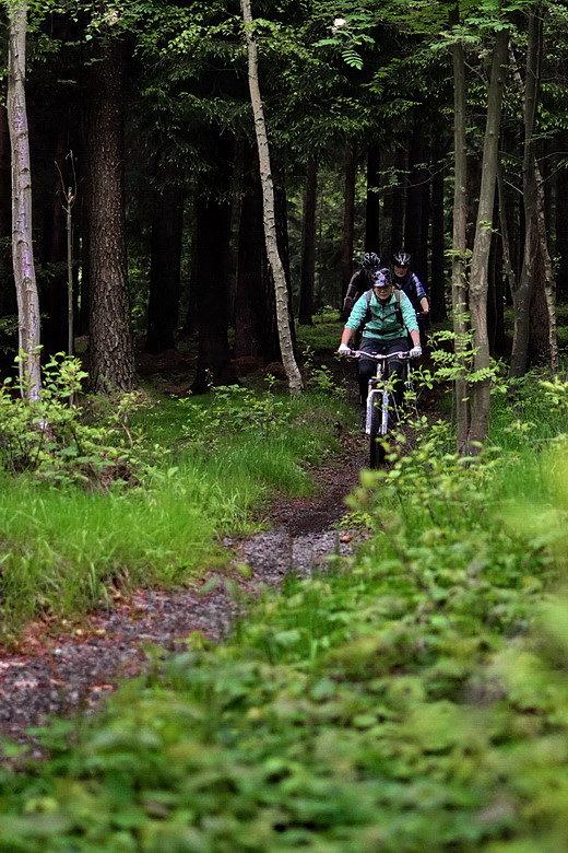 Singletrek pod Smrkem