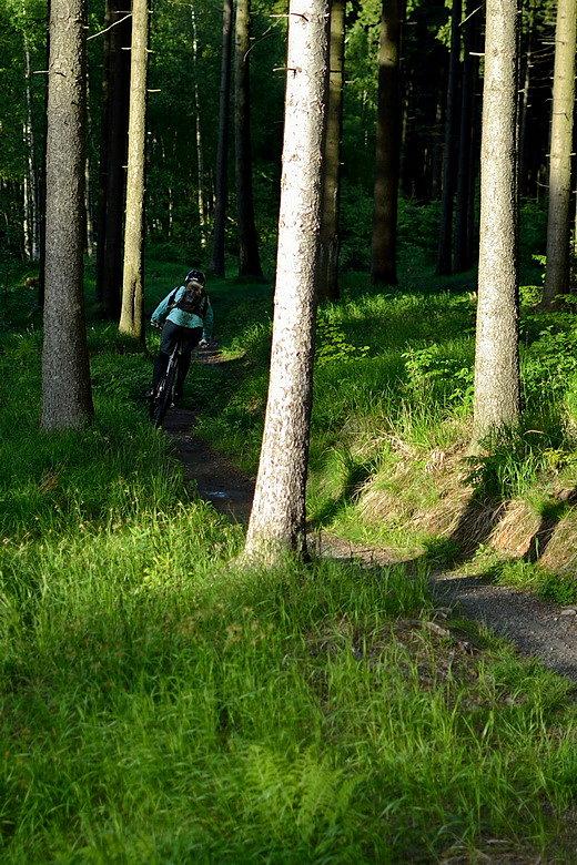 Singletrek pod Smrkem