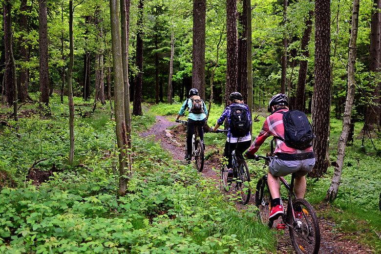 Singletrek pod Smrkem