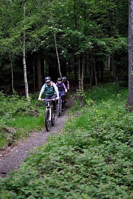 Singletrek pod Smrkem
