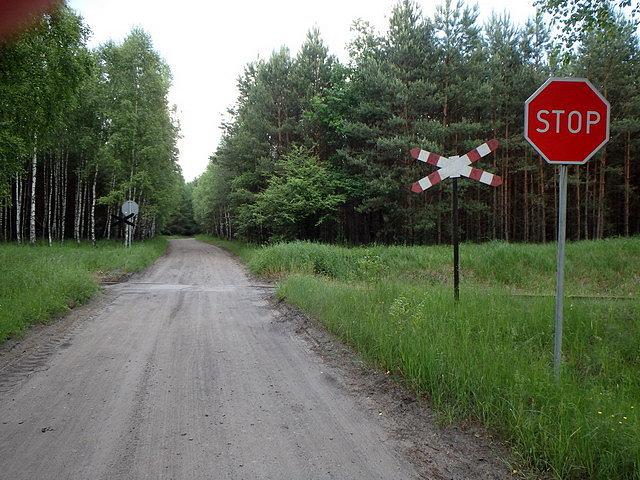 Bożenkowo