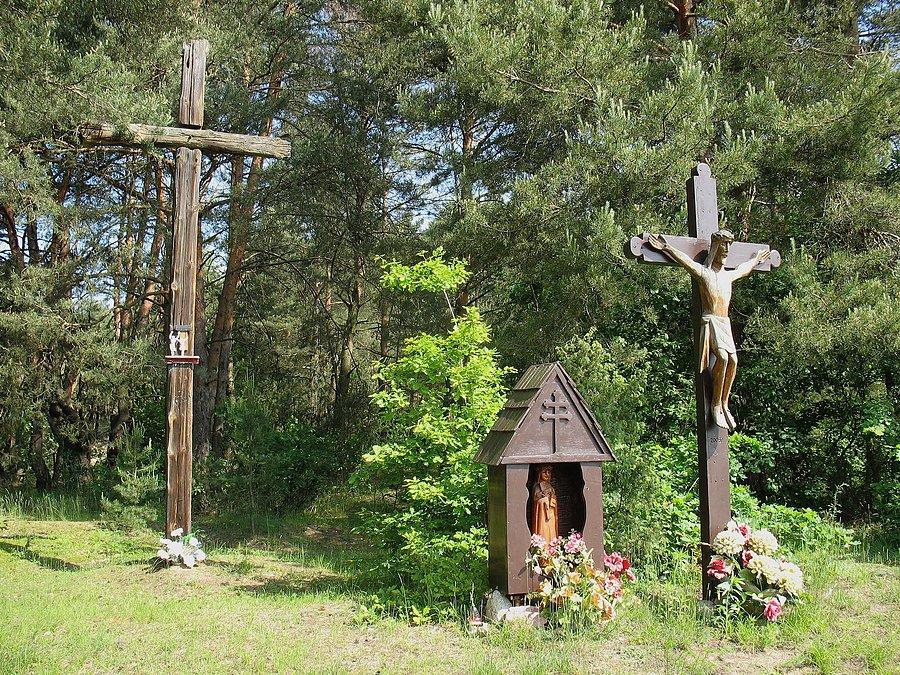 Między Sęsowem, a Bobrownikami