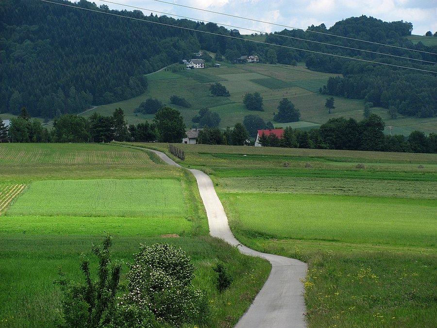 Z jednego zjazdu na kolejny podjad (widoczny pod lasem)
