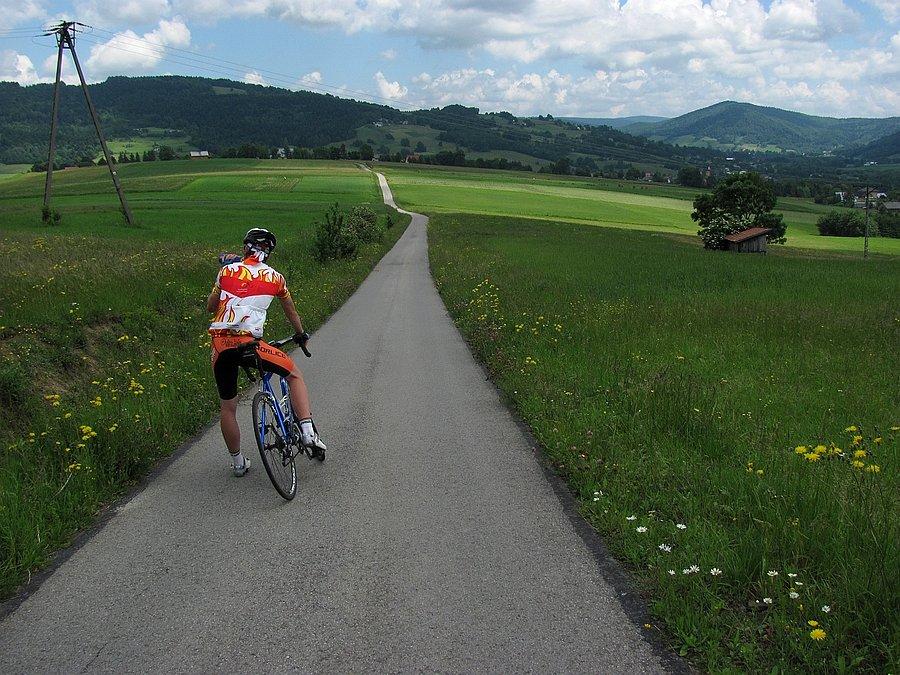 Pieniny Gorlickie gdzieś w tle