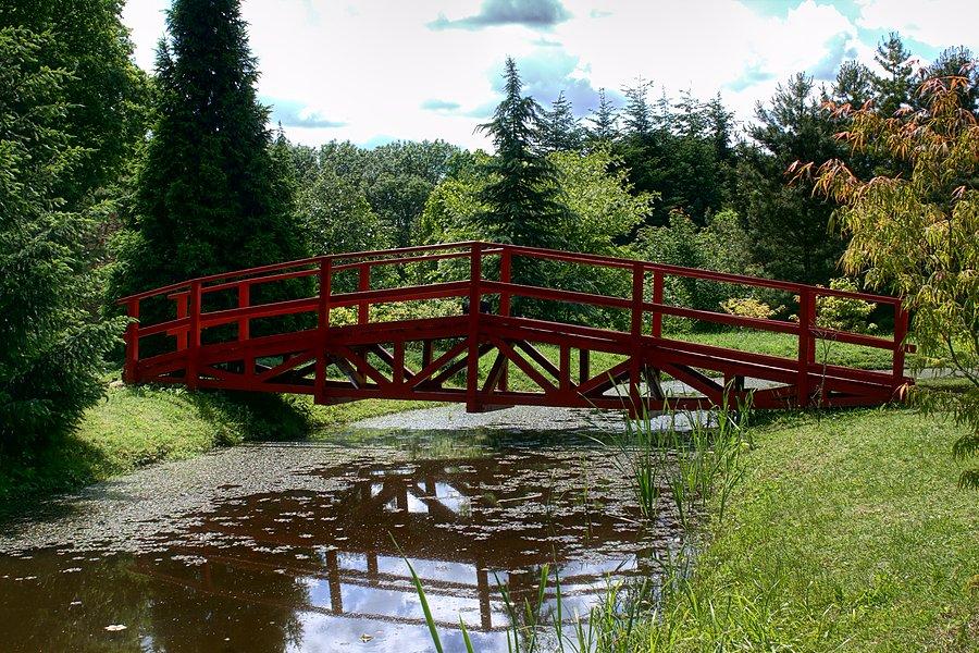 Nad stawem w arboretum