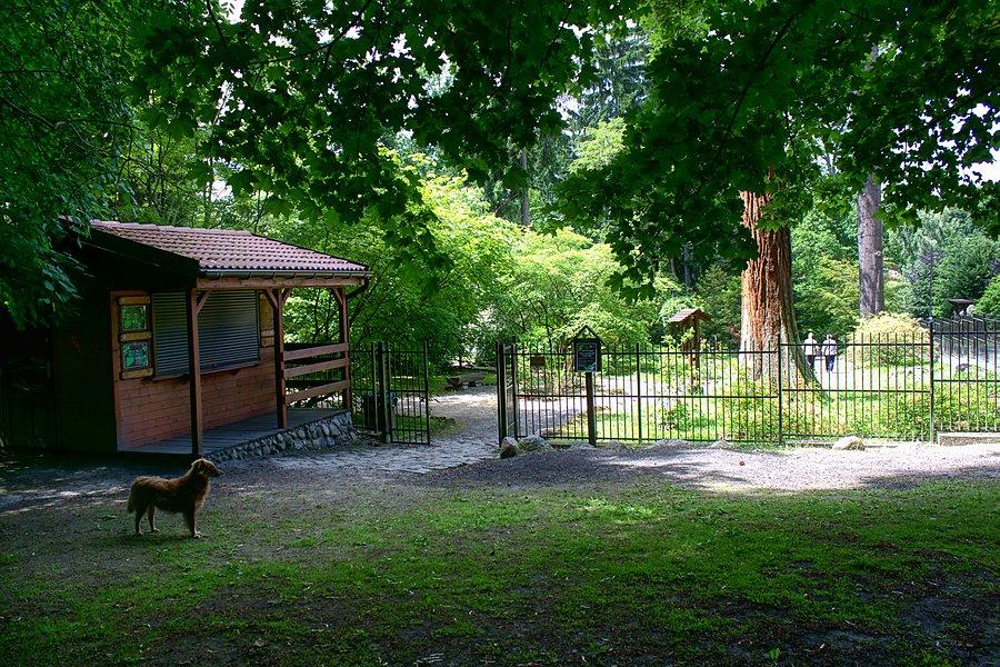 Wejście do Ogrodu dendrologiczengo