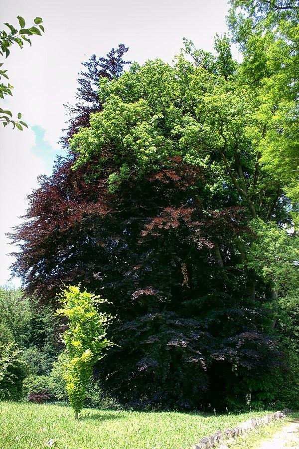 W arboretum w Glinnej_8