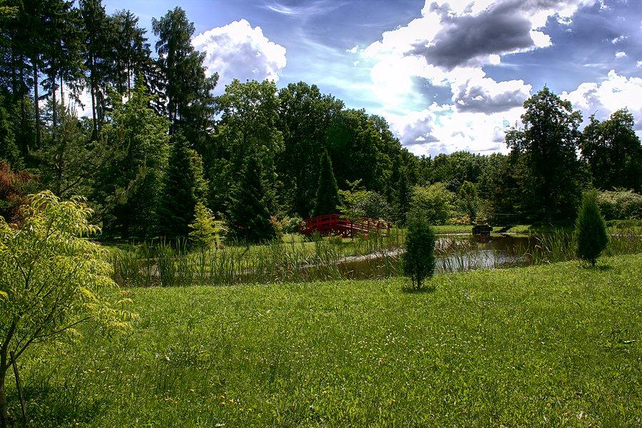 A arboretum w Glinnej_9