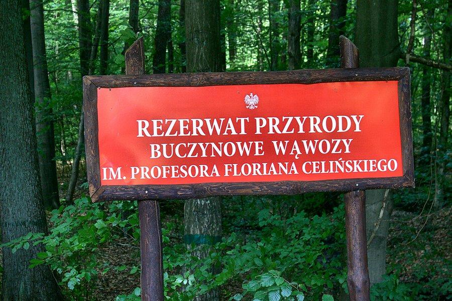 Buczynowe Wąwozy