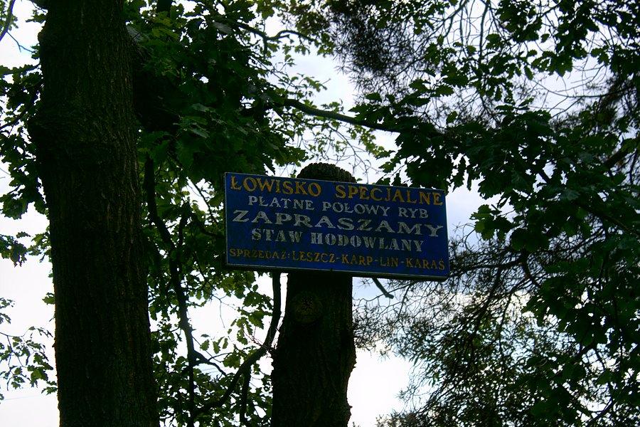 Nad stawami