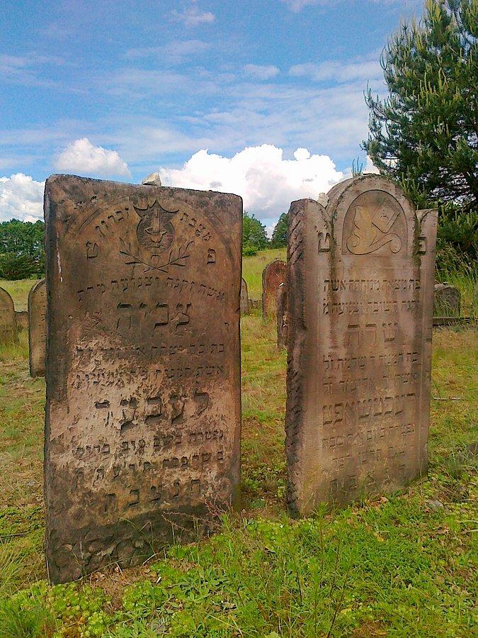 Kirkut w Żarkach. Macewy