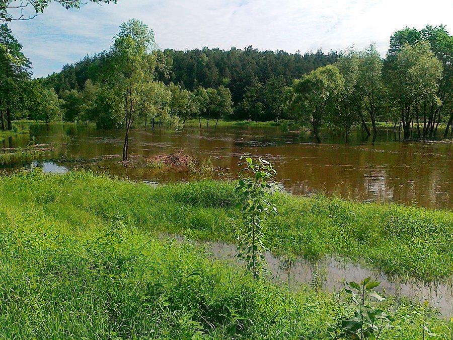 Warta we Mstowie I