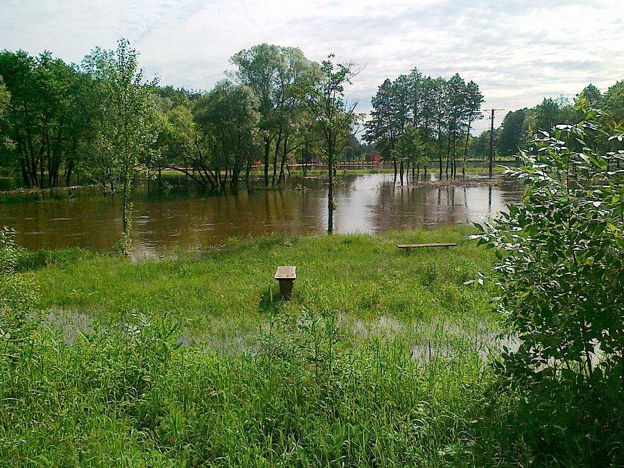 Warta we Mstowie II