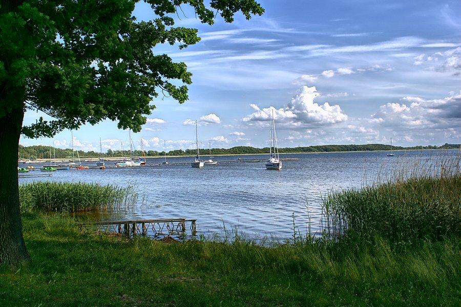 Jezioro Miedwie _ widok od Róży Wiatrów