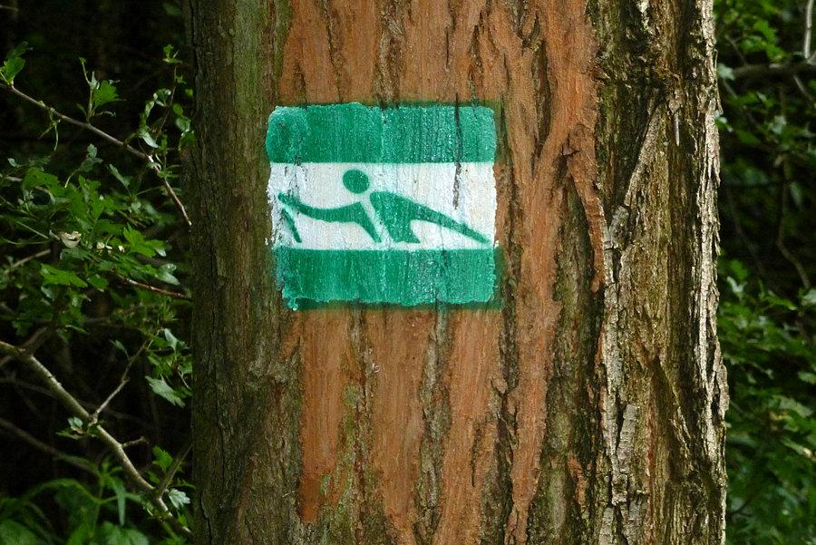 Szutrowy DDR między Żołędowem a Jagodowem i nowy rodzaj znaków. Nordicwalkingowcy wytyczają nowe szlaki