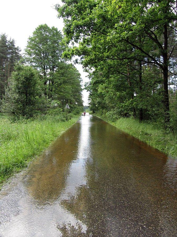 Zalana droga w Taninie