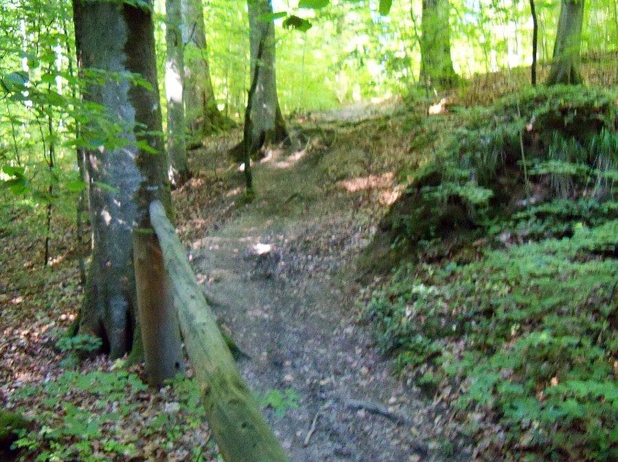 Zjazd do mostku na niebieskim szlaku - dla niektórych zejście