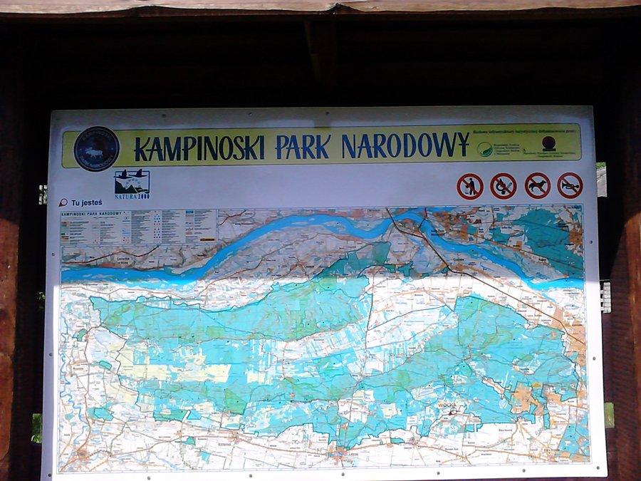 Mapa Puszczy Kampinoskiej w Wółce