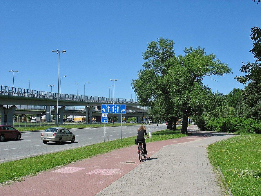 Jesiony przy Czerniakowskiej
