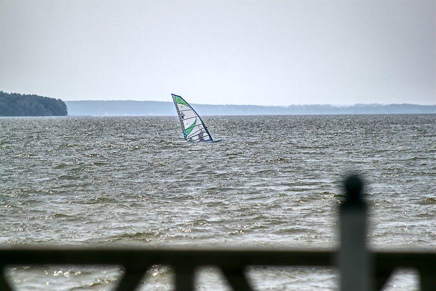 Windsurfer w akcji