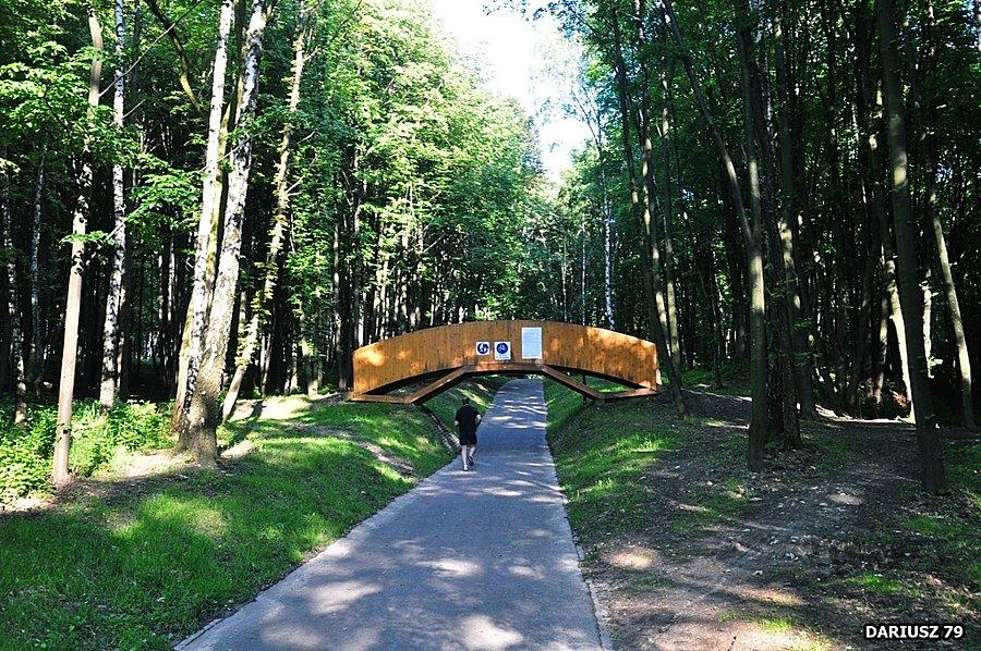 Park na Księżej Górze - Radzionków