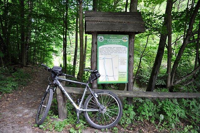 Ścieżka przyrodniczo-leśna „Nad Bukówką” między Rychlikiem a Smolarnią