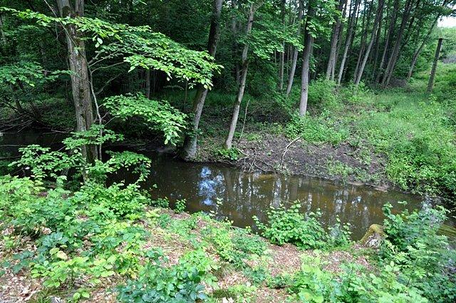 Bukówka - na ścieżce przyrodniczej
