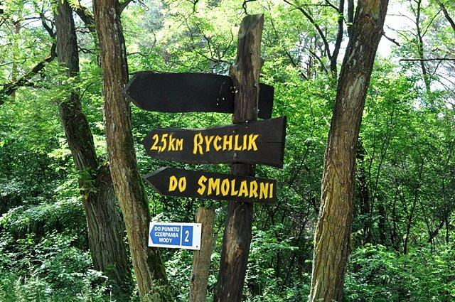 Leśny rozjazd w drodze do Smolarni
