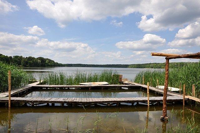 Widok na Jezioro Długie / Logo