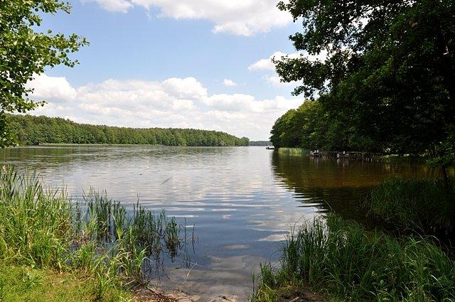 Widok na Jezioro Sarcz w Trzciance