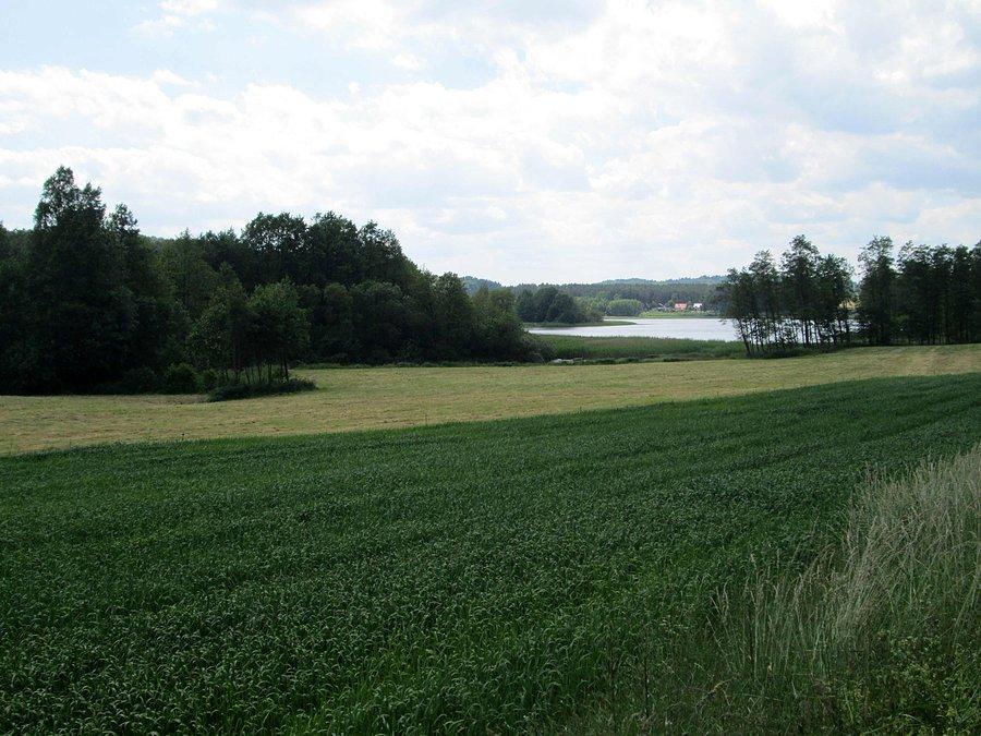 Jadąc po Kaszubach