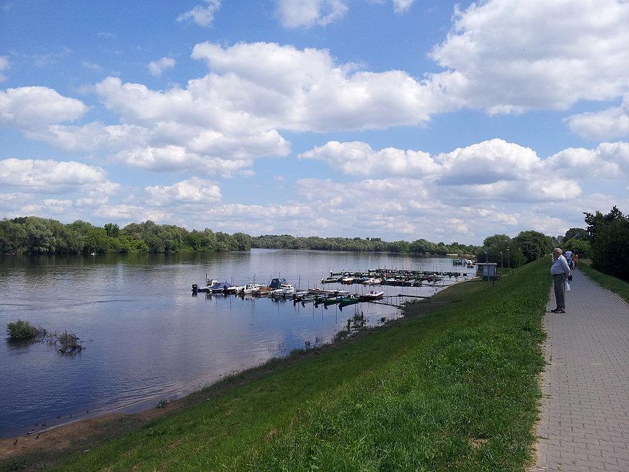 Narew