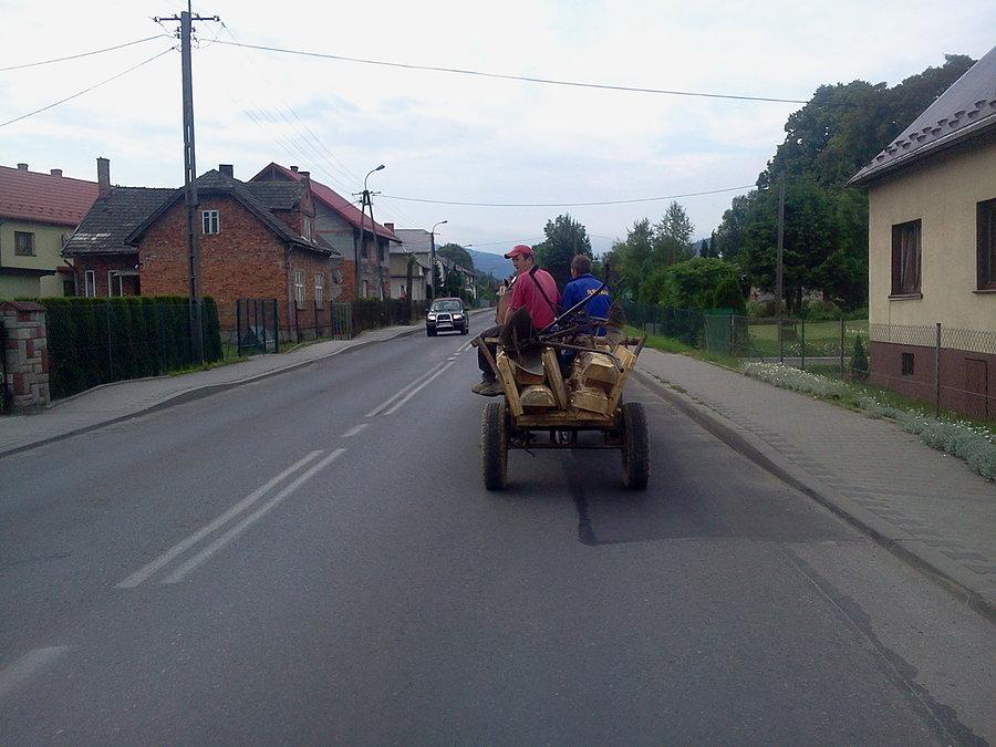 Żywicczyzna właśnie