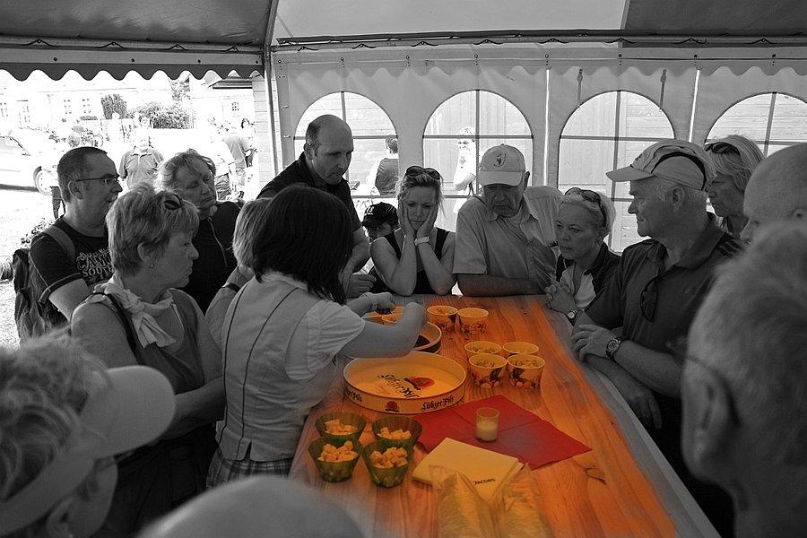 Degustacja serów w serowarni Bauernkäserei Wolters w Bandelow