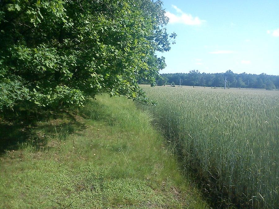 Koniec drogi, początek pola