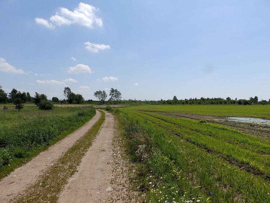 Tu powstaną Nowe Żerniki